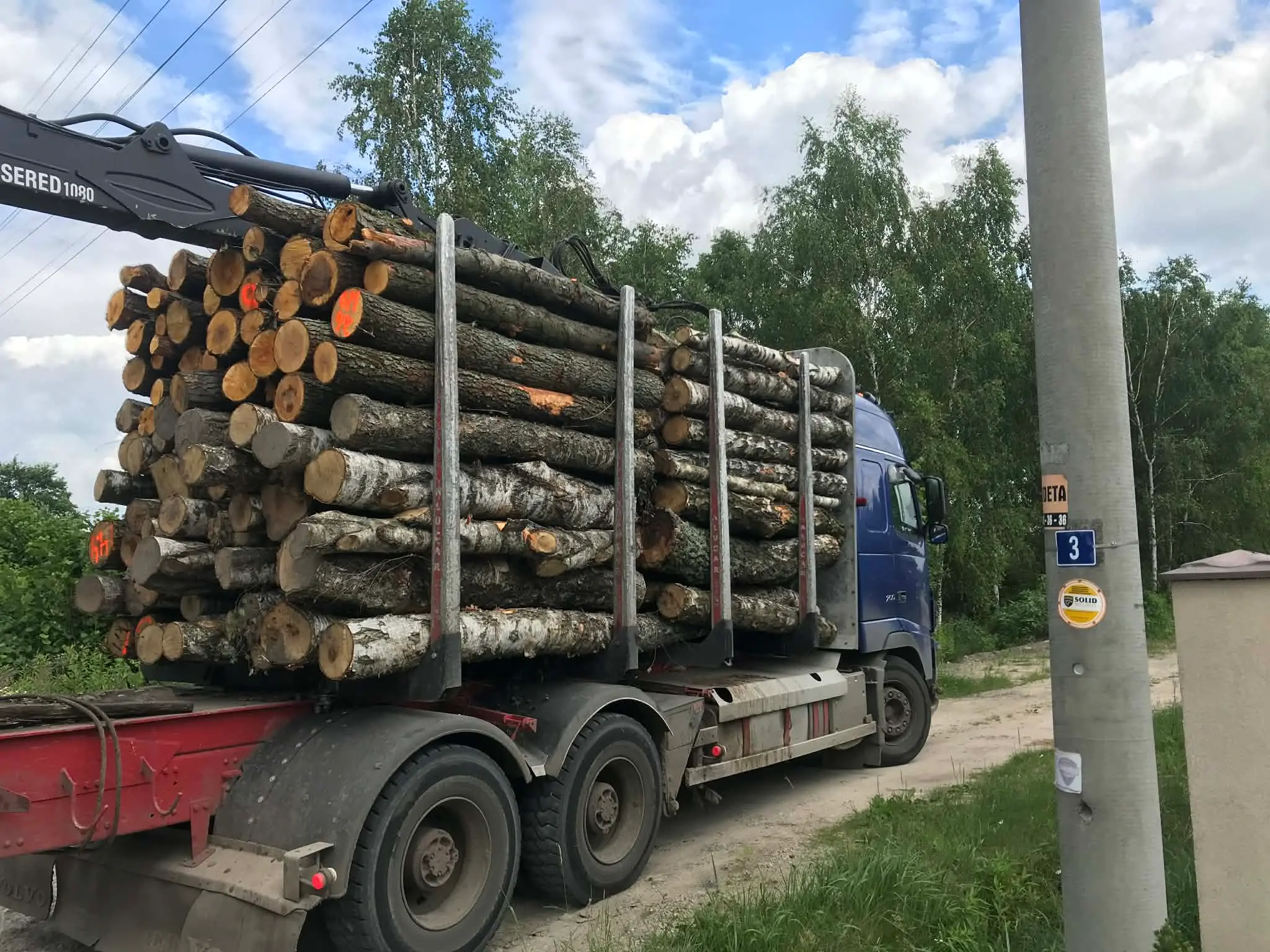 Transport drewna TIR